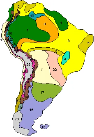 Figure 5. South America. 