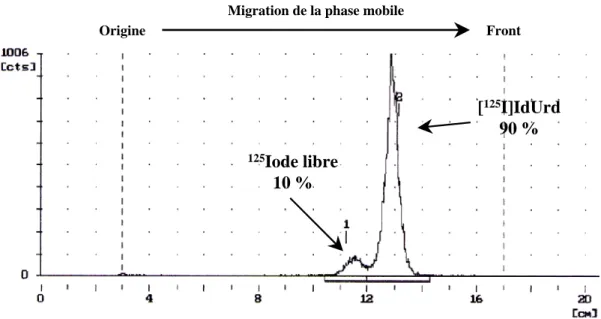 Figure 10. Contrôle de qualité de la pureté radiochimique de la [ 125 I]IdUrd au moyen d’une TLC 