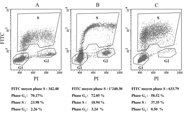 Figure 13. Distribution des cellules LN229 dans le cycle cellulaire (phase G 1 , S et G 2 ) en présence de  FdUrd
