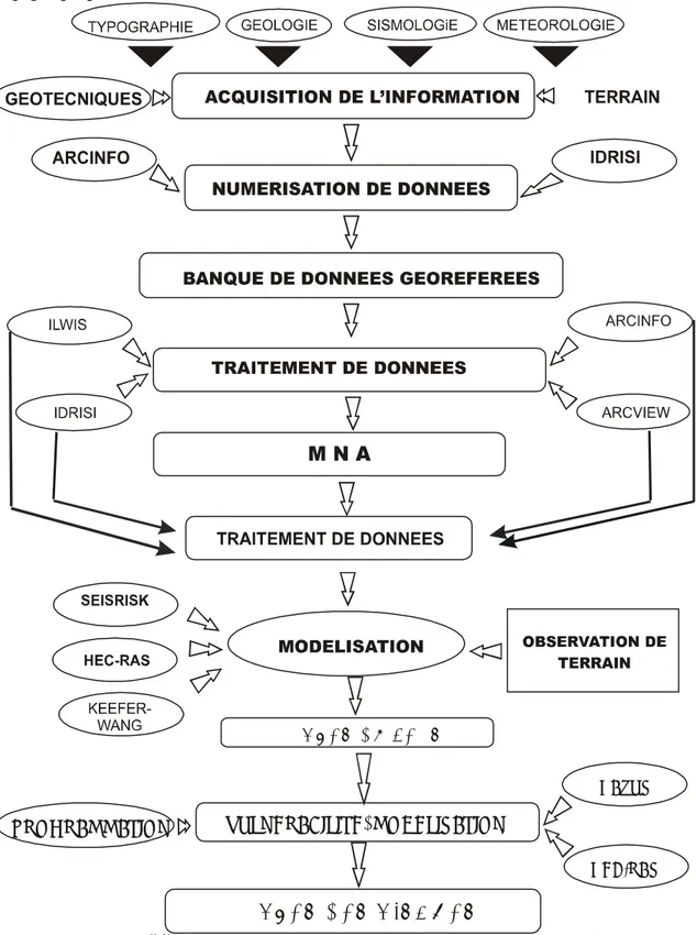 Figure 2.1 Organigramme du SIG des aléas et risques du Chocó.