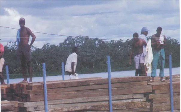Figure 4.5c. Transport de l’industrie du bois sur le fleuve Atrato.