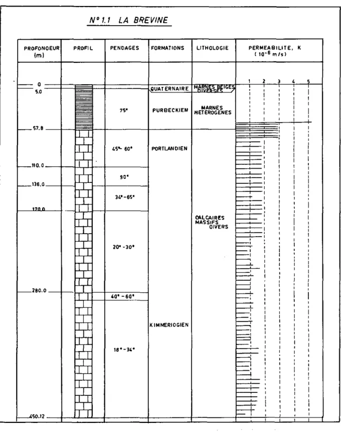 Fig. 2. - 5.1 Profil stratigraphique résumé et résultats des essais d'injection d'eau
