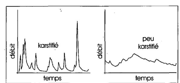 Figure 1.1 : Le type de réponse hydraulique (débit) observé à un exutoire karstique est une 