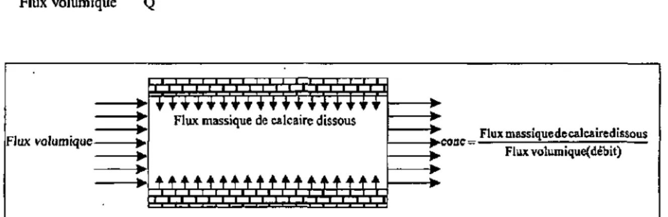 Figure 3.1: La concentration à la sortie du conduit karstique est fonction du rapport entre le 