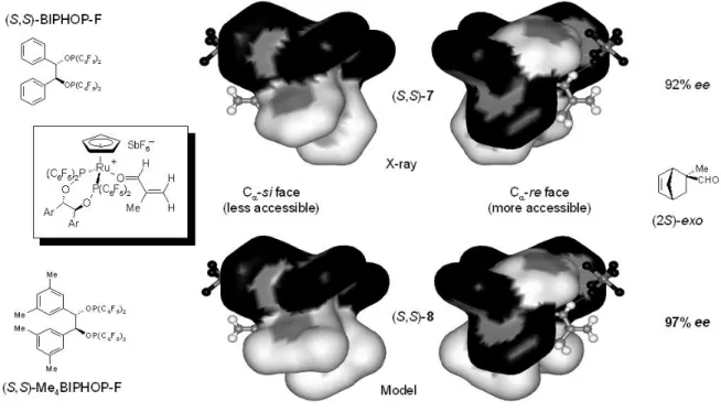 Figure  I-7 Complexes 7d et 8d: vues des faces C α -Si CC  et C α -Re CC  de la méthacroléine 