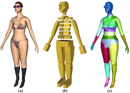 Figure III-7: Automatic segmentation of skin mesh, a: the original body, b: the  skeleton, c: the segmented body 