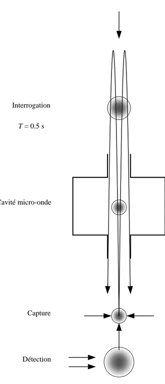 Fig. 1.3: Sch´ema de principe d’une fontaine atomique puls´ee.