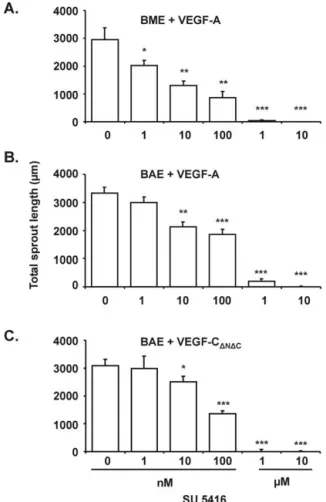 Fig. 6. SU5416 inhibits VEGF-A and VEGF-C ⌬N⌬C -induced in vitro an- an-giogenesis. Confluent monolayers of BME cells on three-dimensional  col-lagen gels were treated with VEGF-A (30 ng/ml), while BAE cells were treated with VEGF-A (30 ng/ml) or VEGF-C ⌬N