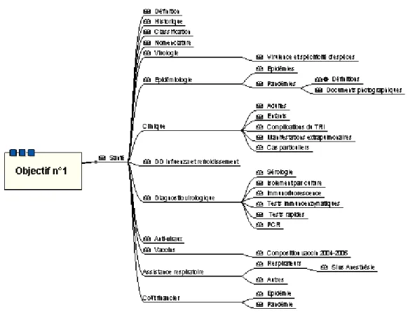 Figure 3 : L’arborescence produite avec le logiciel « MindManager » pour la dimension  « santé »