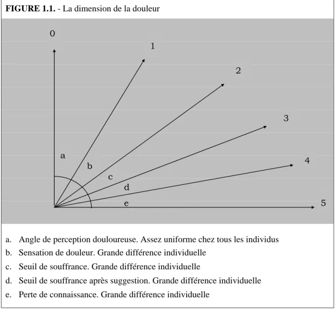 FIGURE 1.1. - La dimension de la douleur 