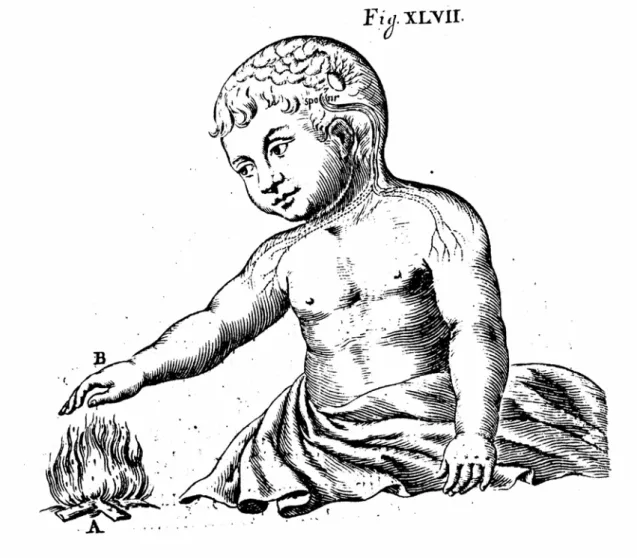 FIGURE 1.2. - Voie de la douleur selon Descartes (1664) 