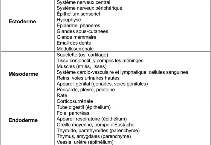 Tableau 4 : Principaux dérivés des feuillets embryonnaires 