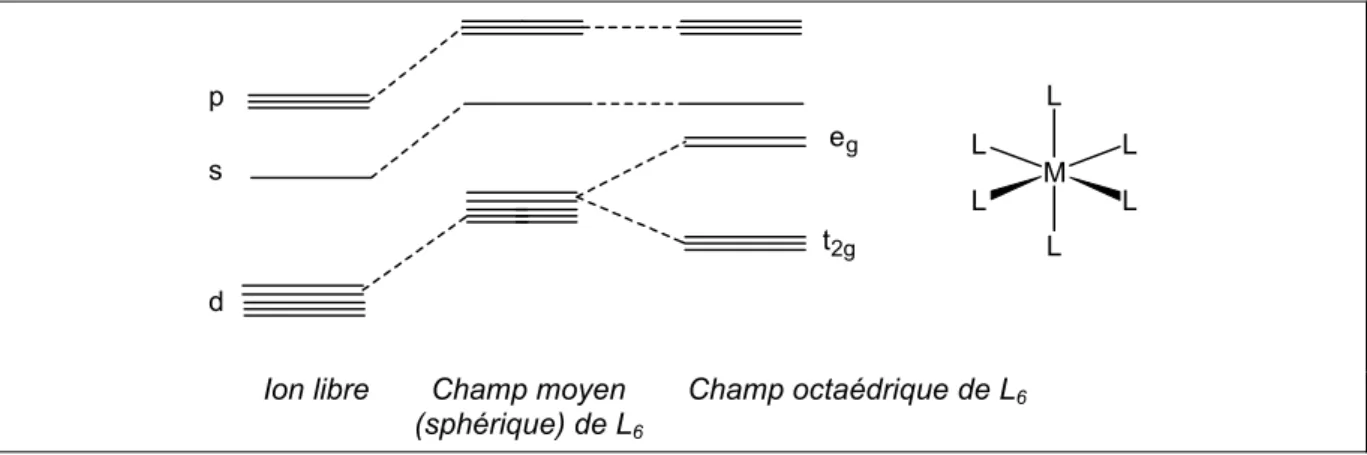 Figure IV.1.  Levée de la dégénérescence des orbitales atomiques pour un métal  dans une symétrie O h.