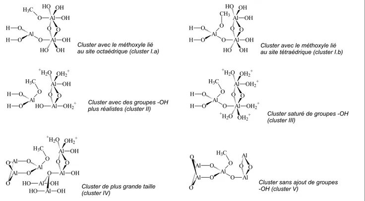 Figure III.13.   Représentations des différents cluster étudiés et de leurs 