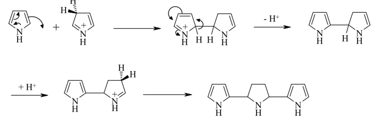 Figure 3 : formation de polymères, dits « rouge de pyrrole » par catalyse acide [15] 
