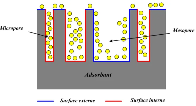 Figure 6 : représentation schématique de la surface interne et externe d’un charbon  actif 