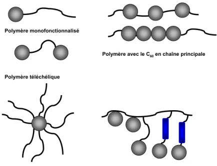 Figure 25 : principales catégories de polymères contenant du fullerène. 