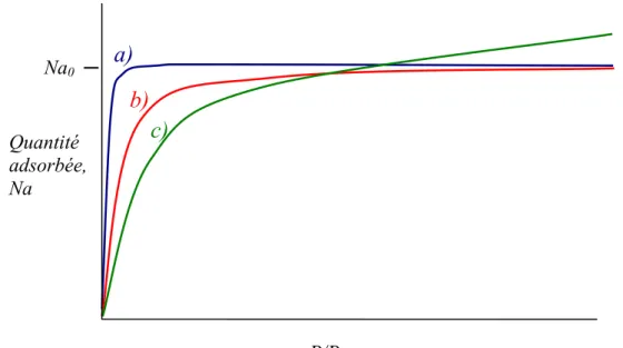 Figure 8 : représentation schématique des trois types d’isothermes du type I. 