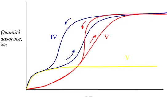 Figure 9 : représentation schématique des types d’isothermes d’eau : type IV  comme somme I+V