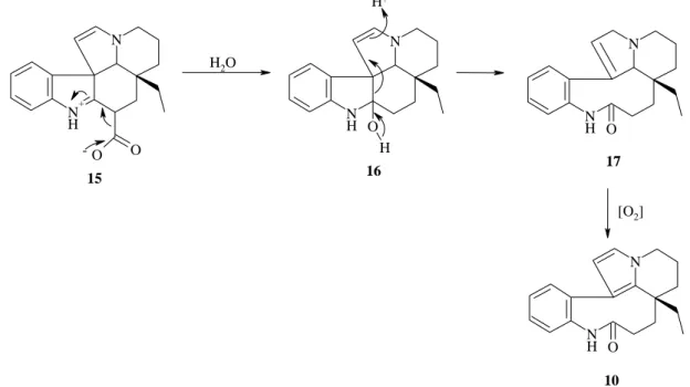 Figure 10 : mécanisme proposé par Goh et al. pour l’obtention de le (-)-rhazinilame 10 à 