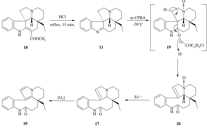 Figure 11 : mécanisme proposé par David et al. pour l’obtention de la (-)-rhazinilame 10 à 