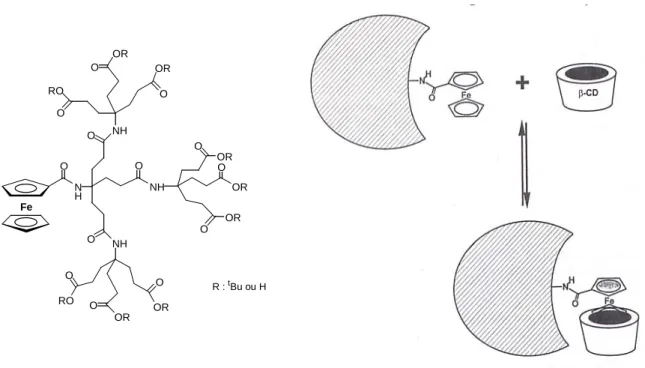 Figure 1.44 Dendrimères de Cardona et Kaifer et exemple de complexation dans une  β-cyclodextrine