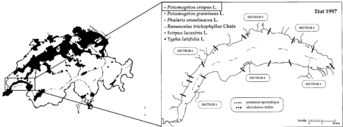 Figure 2.10: Répartition du potamot crépu (Potamogeton crispus) en Suisse (Lauber et  al., 2000) et dans le Lac Léman (Demierre et al., 1999) pour les secteurs 1 :  Versoix-Messery (+Céligny), 2 : Thonon-Evian, 3 : Meillerie-Villeneuve, 4 : Cully-Genève,  5 : Lausanne-Morges, 6 : Rolle-Promenthoux 