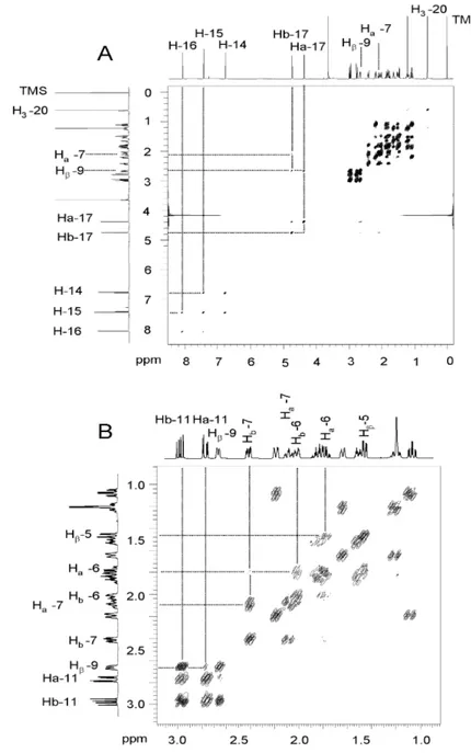 Figure 3.12: Spectres RMN de corrélation homonucléaire  1 H- 1 H COSY du composé A,  avec les corrélations les plus significatives observées 