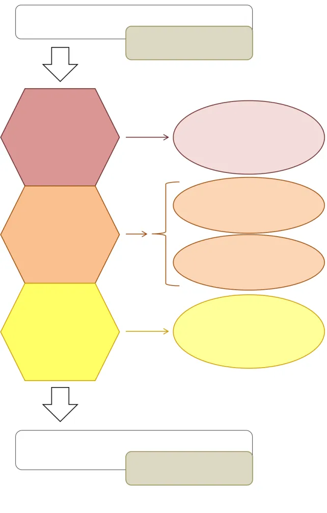 Figure 6 : Schéma représentatif de la sélection des entreprises libérales à partir de la base SIRENE                                                   
