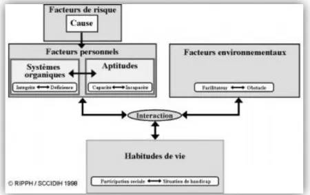 Figure 2 : Schéma du modèle du Processus de Production du Handicap 