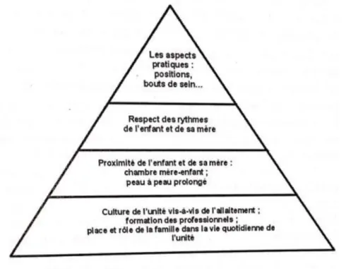 Figure 3 : Pyramide du soutien de l'allaitement maternel du nouveau-né prématuré (Sizun &amp; Ratynski, 2013,  p