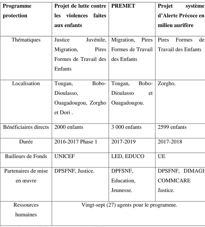 Tableau 4: Tableau synthétique du programme protection 