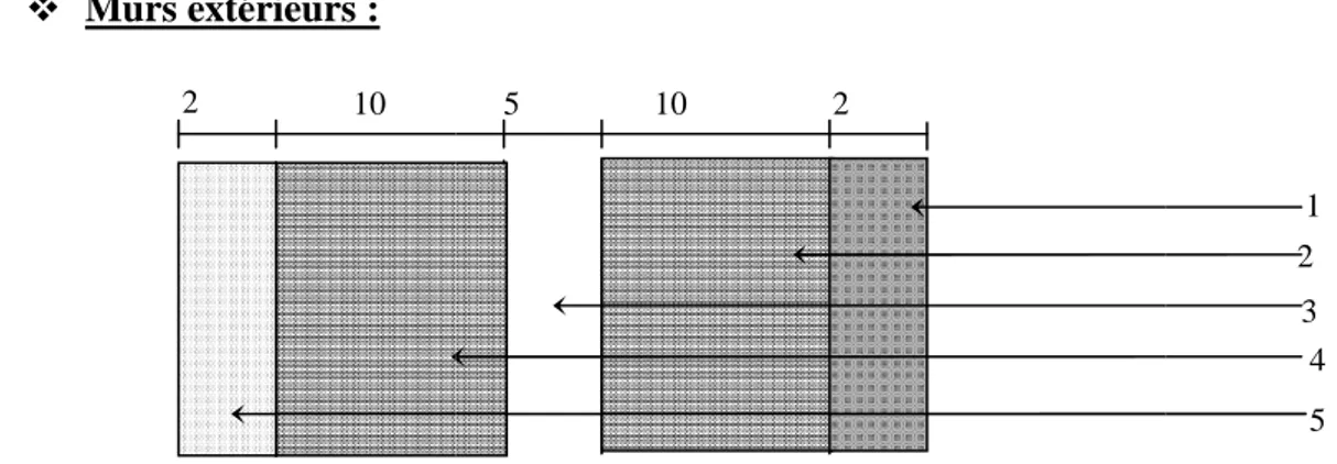 Fig. II-6 : Coupe transversale d’un 