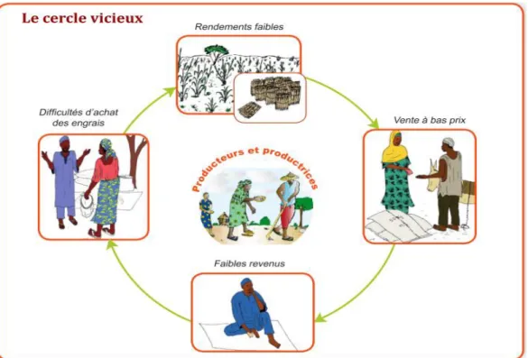 Figure Nr 1 : Le schéma du cercle vicieux dans lequel se trouvent les producteurs agricoles 