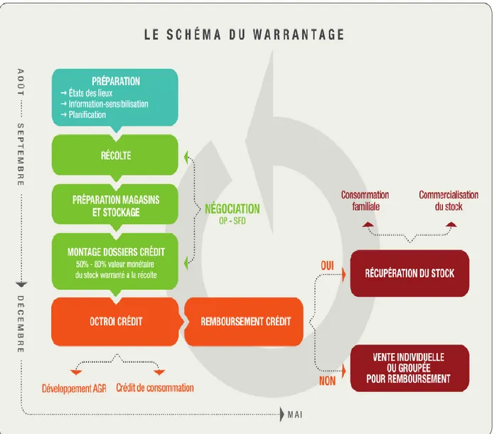 Figure Nr 2 : Le schéma de mise en œuvre du warrantage 