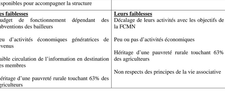Tableau N°3: Récapitulatif sur la viabilité organisationnelle de la FCMN-Niya  Source : L’auteur, données des enquêtes, 2013 