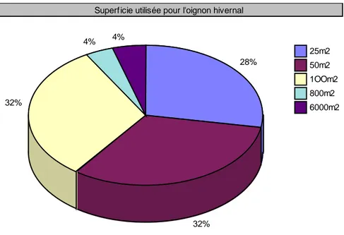 Figure 3: Superficie utilisée pour l'oignon hivernal  (Source : nos enquêtes, 2013) 