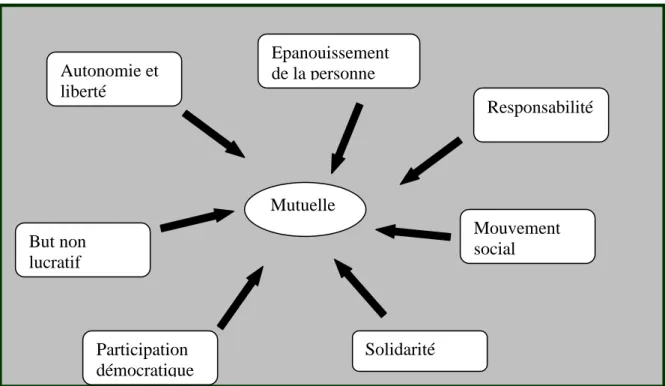Figure 1: Schéma illustratif des principes de la mutualité