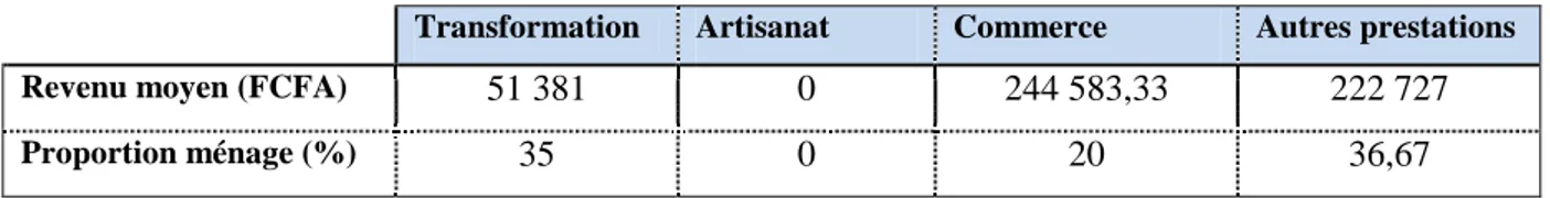 Tableau VII : Situation des autres AGR des ménages 