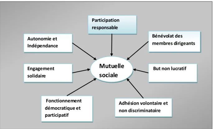 Figure 3: Les principes fondamentaux de la mutuelle sociale  