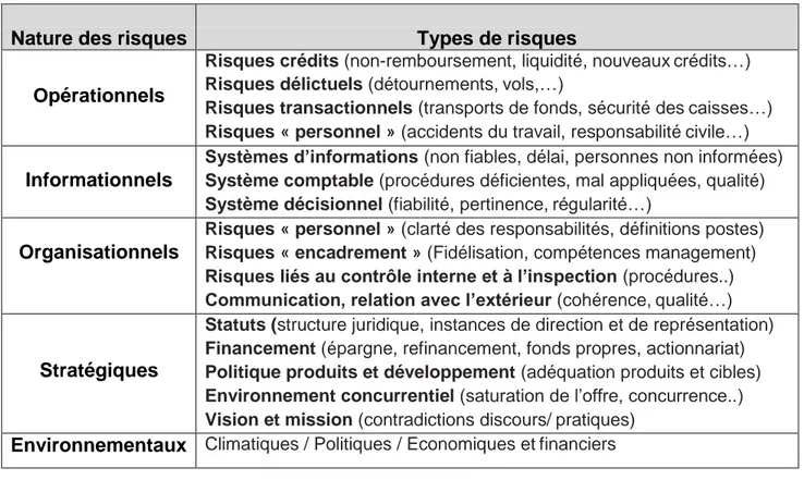 Tableau 1 : Typologie des risques de la microfinance 