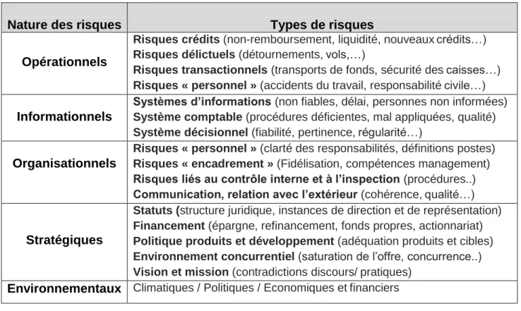 Tableau 1 : Typologie des risques de la microfinance 