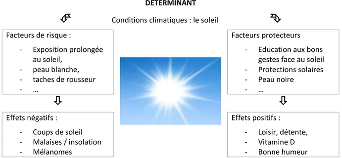 Figure 4-1 - schéma de l'acception de la notion de déterminant utilisée ici. 