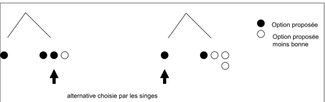 Figure 1 : Expérimentation de choix – Suzuki (1999)