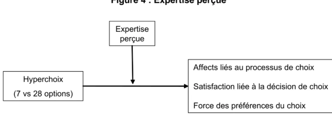 Figure 4 : Expertise perçue