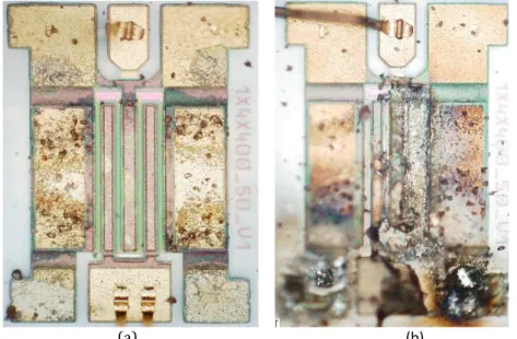 Figure II-3.   Optical observation of GH50 AlGaN/GaN HEMTs (4*400µm*0.5µm).  (a)    Functional device