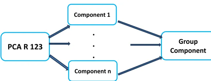 Figure  27:  The  reduced  dataset  from  data  reduction  stage  is  used  and  ICA  is  applied  to  calculate ICs.(Picture adapted from Gift manual)