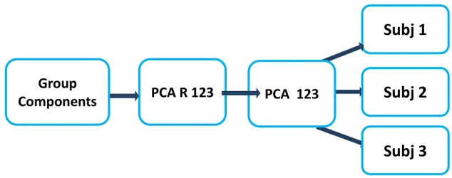 Figure 28 shows the  individual subject components calculated from the group  components.(Picture adapted from Gift manual) 