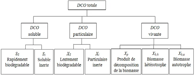 Figure 3. 2. Répartition de la DCO b) Dynamique du procédé 