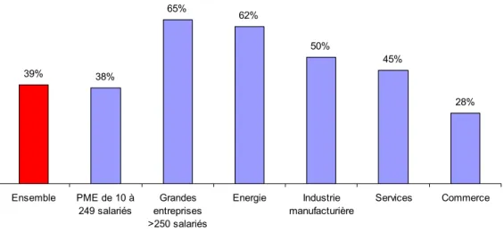 Figure 10 : Profil des entreprises de plus de dix salariés disposant d'un site web  39% 38% 65% 62% 50% 45% 28% Ensemble PME de 10 à 249 salariés Grandes entreprises &gt;250 salariés Energie Industrie manufacturière Services Commerce